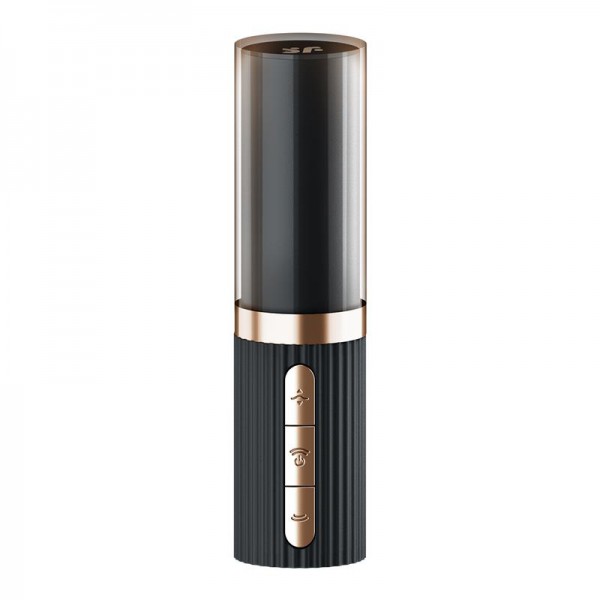 Satisfyer Pro 2 Kiss Air Pulse Vibrator