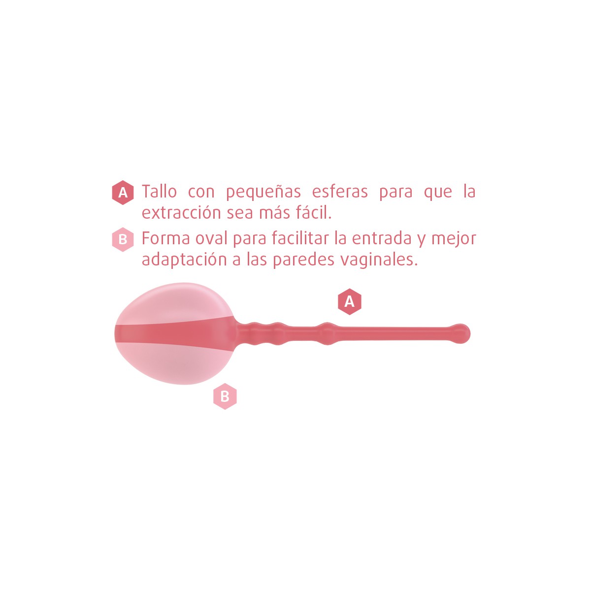 Enna Pelvic Ball