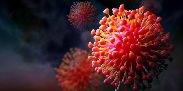 El Virus del Papiloma Humano (VPH)