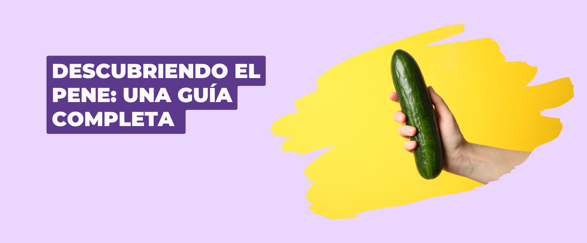 DESCUBRIENDO EL PENE: UNA GUÍA COMPLETA