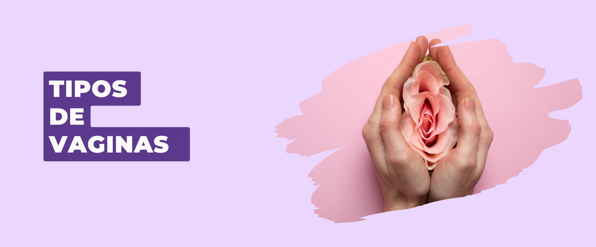 TIPOS DE VAGINAS
